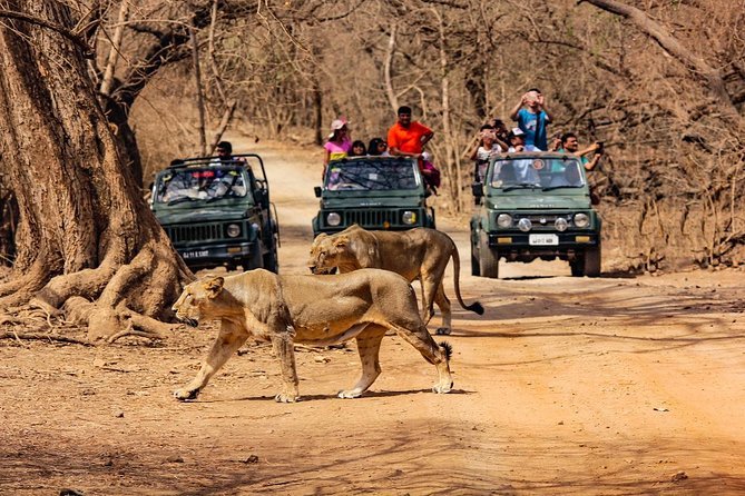 Gir Sasan